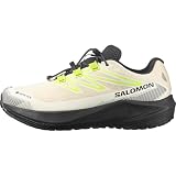 SALOMON Aero Flow GRVL Gore-Tex Impermeables Zapatillas de Running Gravel para Hombre