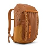 Patagonia Black Hole® - Mochila de 32 litros Ripstop reciclada para brindis | Compartimento para portátil de 15 pulgadas, parte trasera transpirable, certificado de comercio justo